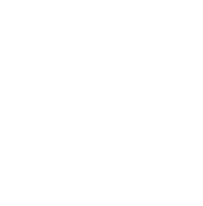 Morning Bird Media