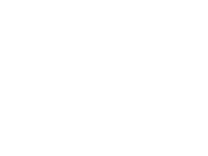 North Pulse Media